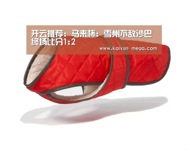 开云推荐:马来杯: 雪州不敌沙巴 终场比分1:2(图1) 开云入口