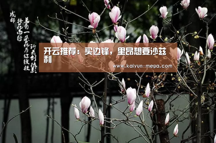 开云推荐:买边锋,里昂想要沙兹利(图2) 开云官网
