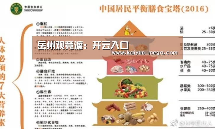 岳州观竞渡:开云入口(图1) 开云入口