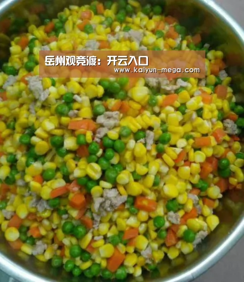 岳州观竞渡:开云入口(图3) 开云官网