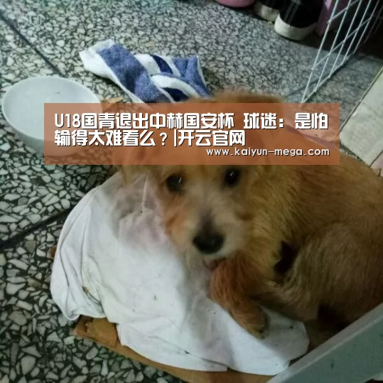 开云官网