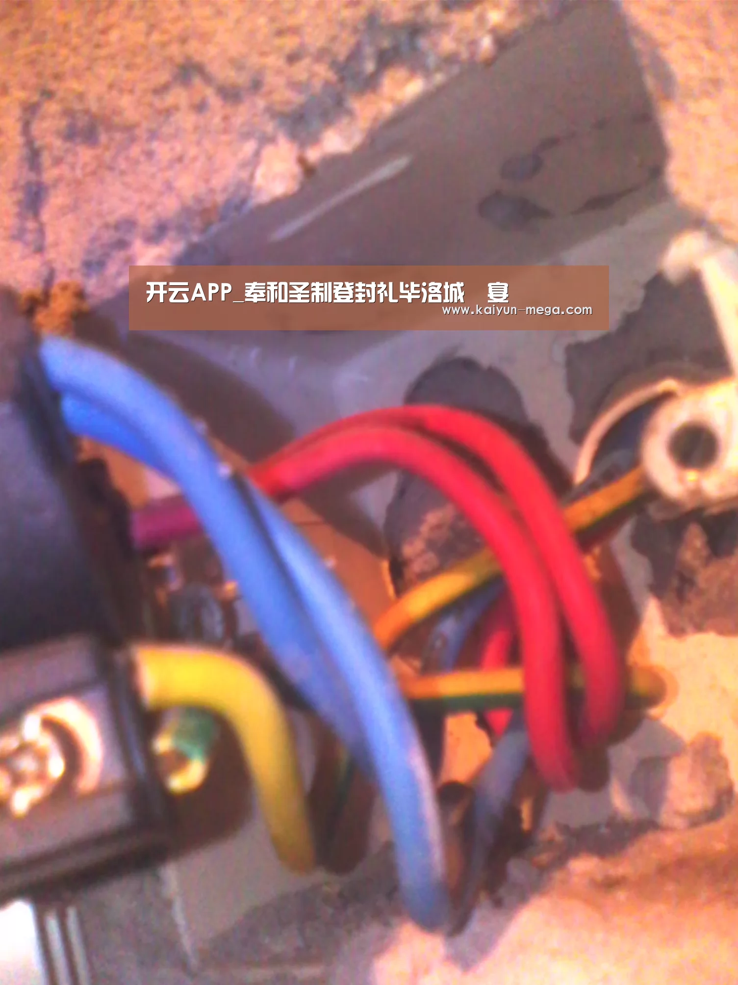 开云APP_奉和圣制登封礼毕洛城酺宴(图3) 开云推荐