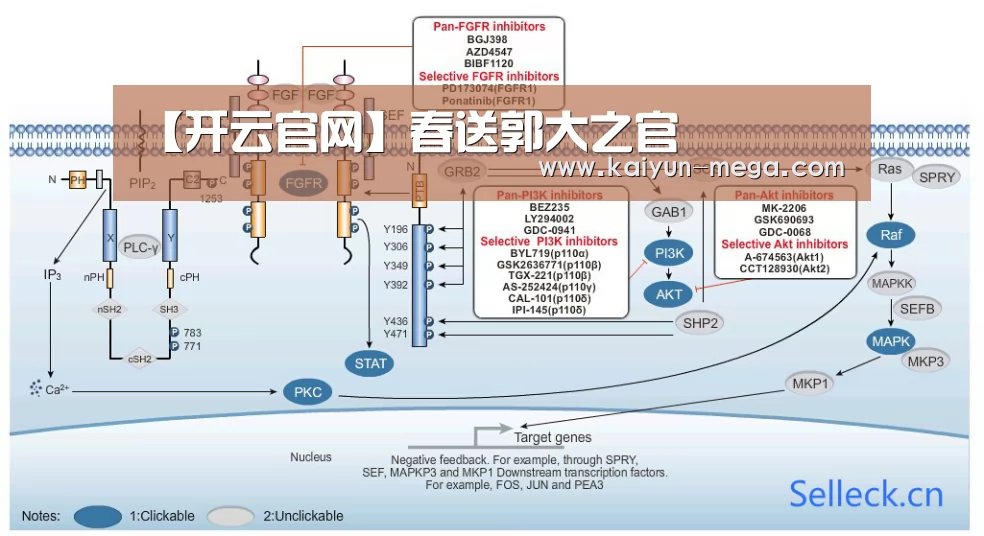 开云官网