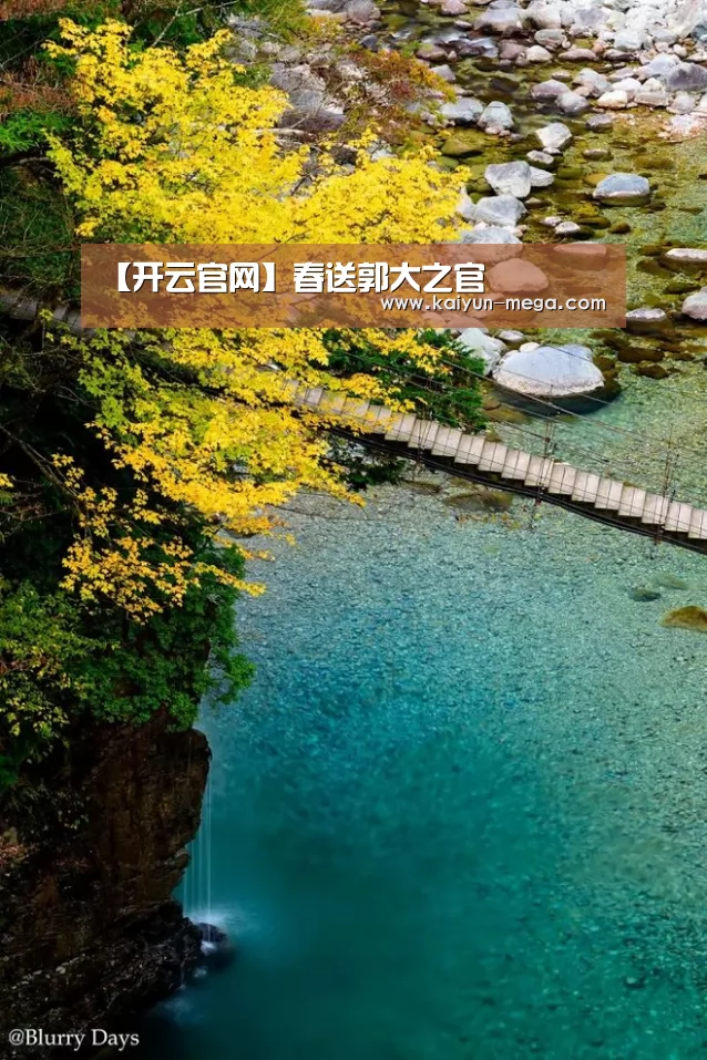 开云入口