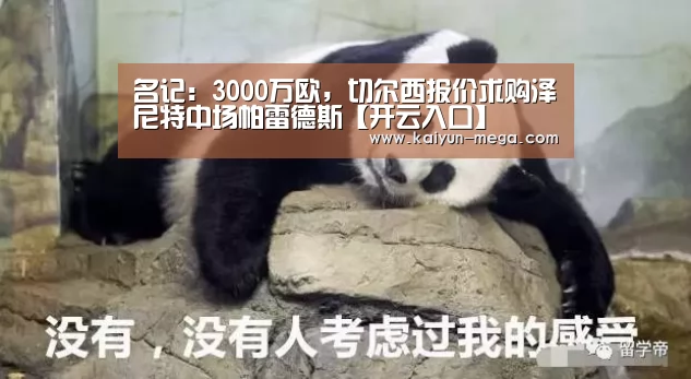 名记:3000万欧,切尔西报价求购泽尼特中场帕雷德斯【开云入口】(图1) 开云入口