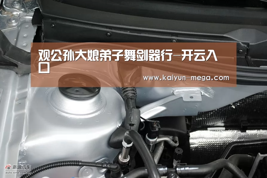 观公孙大娘弟子舞剑器行-开云入口(图3) 开云官网